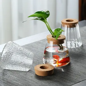 Hydroponic Plant Ecological Bottles, Multiple Styles Available, Hydroponic Flower Pot Containers, Pothos & Asparagus Fern Vases