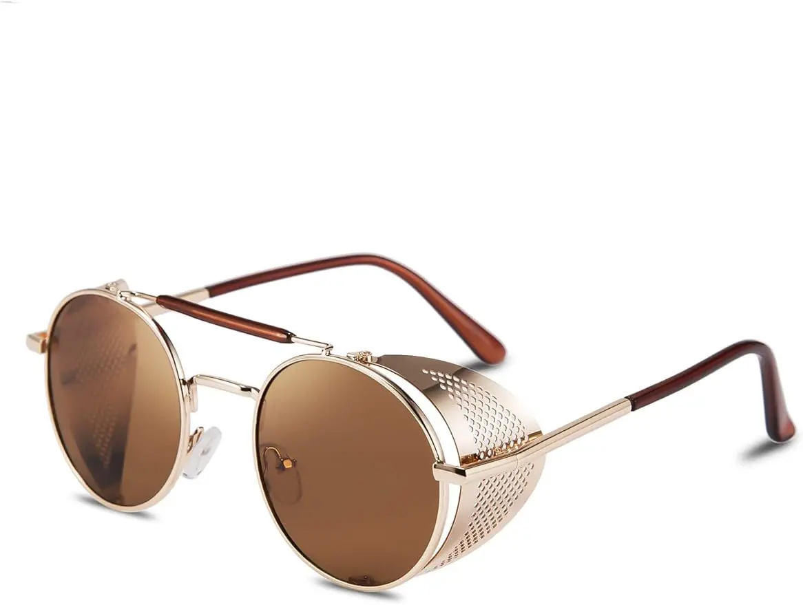 FEISEDY Steam Punk Sunglasses for Men Women Side Shield Round Steampunk Vintage Glasses Shades B2518