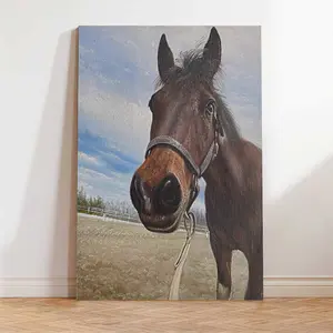 Horse Portrait, Horse Portrait Art Decor, best-selling, Farm Animal Painting from Photo, Horse Lover Gift