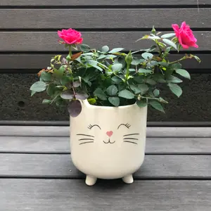 SparkDazzle White Cat Ceramic Planter Pot for Succulents with Ears & Whiskers - Perfect for Home and Garden