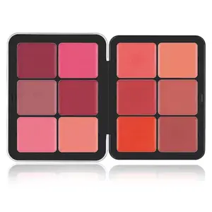 12-Color Concealer & Blush Palette, 1 Count Matte Concealer & Blusher, Long-Lasting Contour