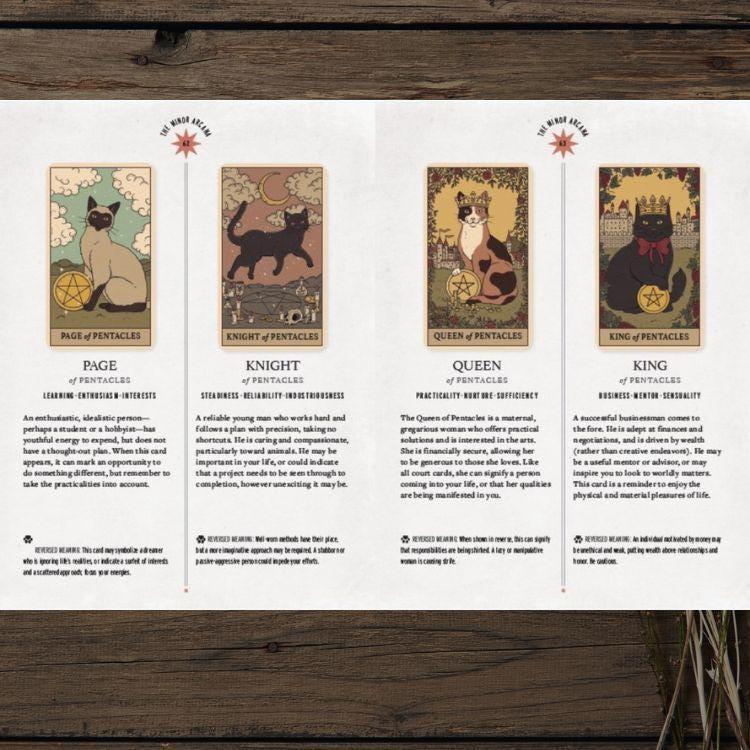 Cats Rule the Earth Tarot Deck | 78-Card Cat Tarot with Guidebook | New Edition