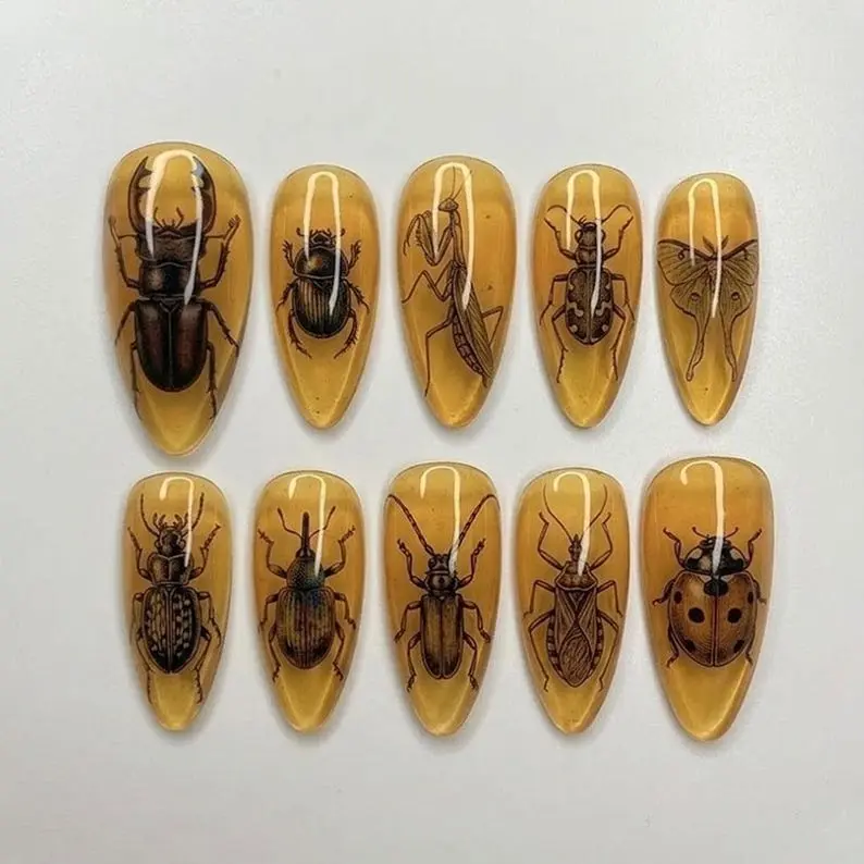 Amber Insect Press On Nails Vintage Beetle Bug Entomology Nails Nature Specimen Gothic Nails