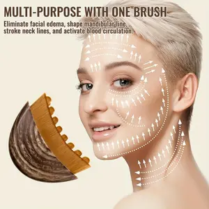 1-Piece Multi-Functional Lymphatic Contouring Facial Brush - Dry Brush for Face, Ergonomic Design, Precise Skin Fit, Lymphatic Drainage Massager for Face, Chin & Jawline Shaping