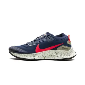 Pegasus Trail 3 GTX "GORE-TEX" DC8793 401