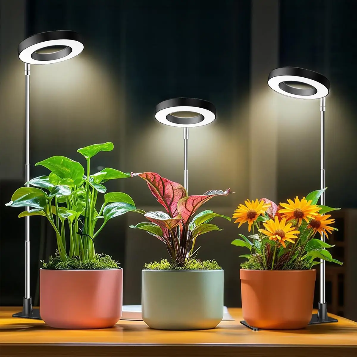 Indoor Plant Grow Light, USB Powered LED Full Spectrum Plant Light, Height Adjustable LED Plant Light with 10 Dimming Brightness & On/Off Time Home Mo