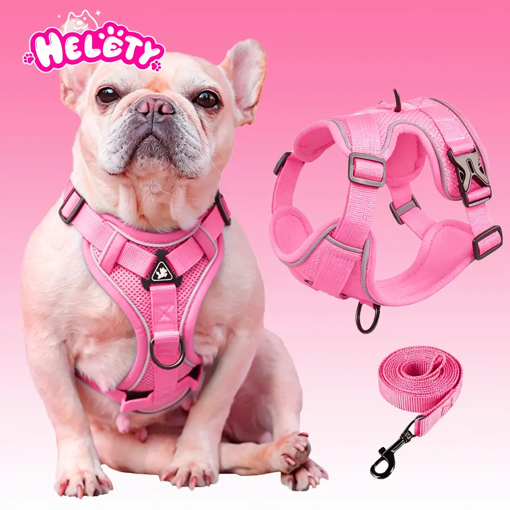 HELETY No-Pull No-Choke Dog Vest Harness with Leash Set – Anti-Escape, 3D Breathable, Reflective, Adjustable S-XL for Small-Medium Dogs (French Bulldog Included), Oxford Fabric, Night Walk Safety, Poop Holder, Cooling prong collars accessories step in bag