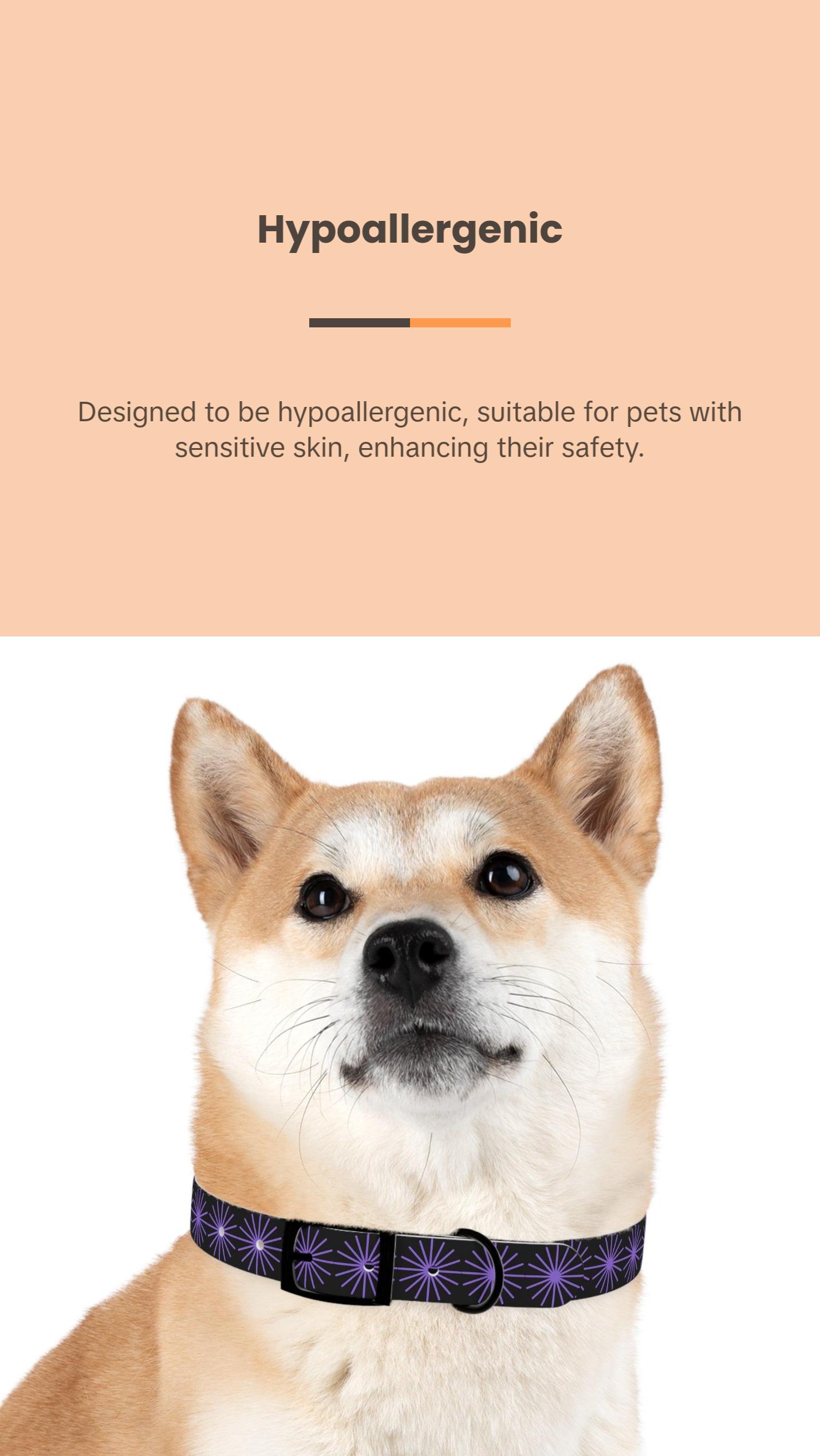 Black and purple star dog collar