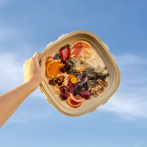 Portable Snack Tray