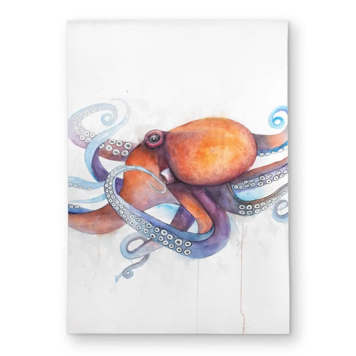 360 stand 5x7ft Large Rectangle Polyester Chenille Weave Rug - Indoor/Outdoor Marine Vibe Ocean Theme Carpet with Colorful Octopus Print, Living Room Decor, Decorative Rug, Multicolor Rug