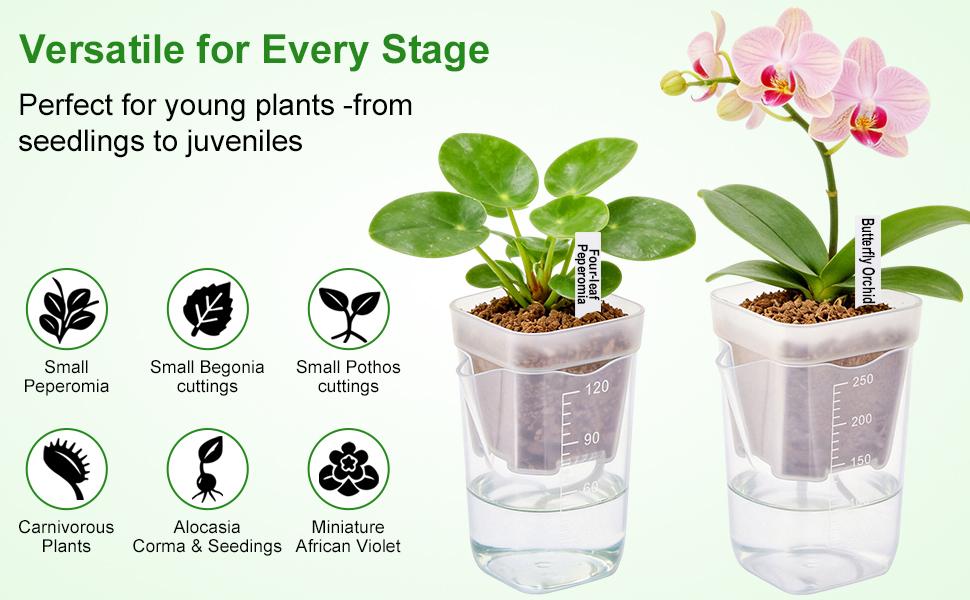8 Pack 2" Mini Self Watering Pots for Indoor Plants,Small Clear Plastic Planters,Alocasia Corm Propagation,African Violet,Cutting,Seeding,Water Level Indicator,Drainage Hole,8 Plant Label outdoorfun