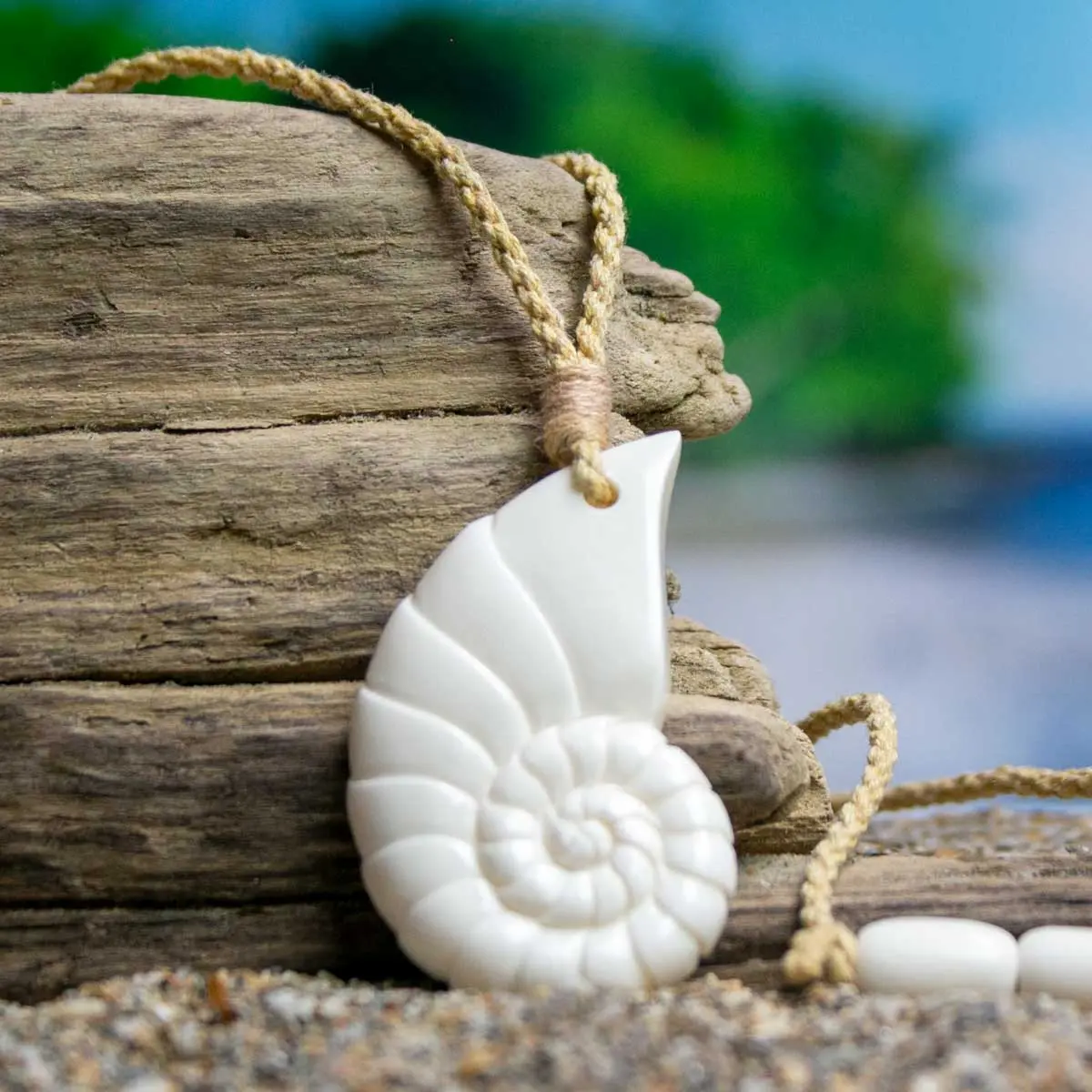 Nautilus Shell Necklace - Hand Carved