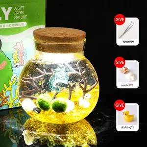 Phecda - Enchanting Big Dipper Bottle Micro-Landscape, Cute Marimo Moss Ball Habitat, Self-Sustaining Crystal Garden & Soothing Desk Ecosystem (Includes 2 Live Marimo Pets)