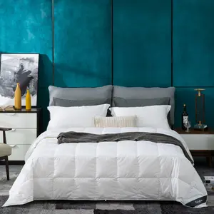 White Summer Down Comforter/Blanket  Size, Lightweight Duvet Insert for Hot Sleepers, Noiseless & Extra Soft Shell,14OZ,750 Fill Power, with Ties, Solid White