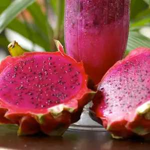Red Dragon Fruit Seeds (Hylocereus undatus) – Exotic, Tropical Fruit, Stunning Red Skin, Sweet Flavor, Ideal for Containers and Warm Climates – 15+ Seeds