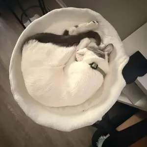 Cat Desk Hammock Bed - Rotating Cat Bed forDesk or Table,Upgraded Clamp with SpongePad, Holds Up to 45LBS, Soft & Sturdy CatNest for indoor Cats