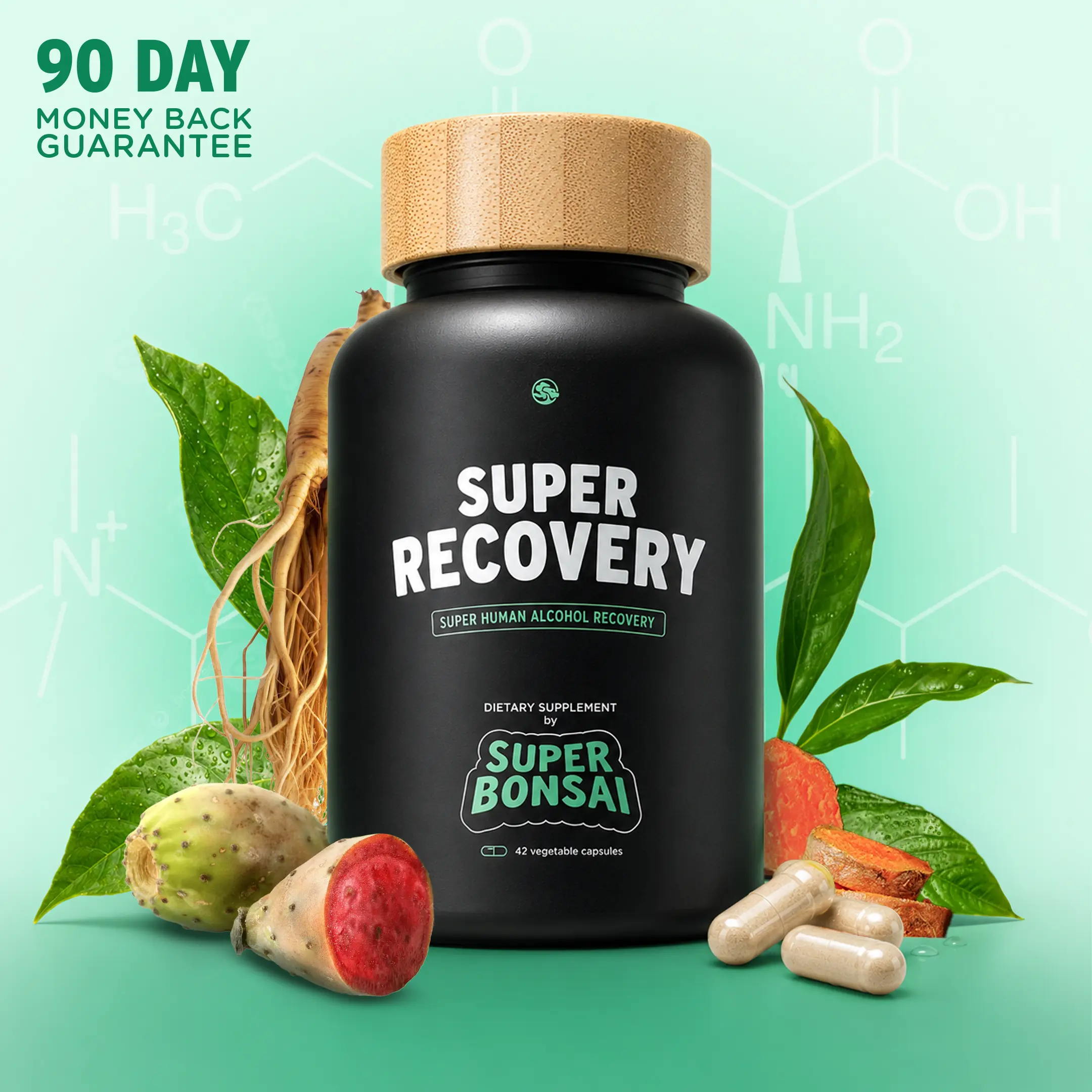 SuperBonsai Super Recovery - Natural Ingredients with DHM and Milk Thistle - Supports Liver Aid - GMO Free, Gluten Free, Vegan, Sugar Free