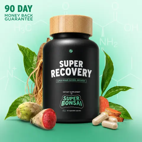 SuperBonsai Super Recovery Organic Dietary Supplement - Research Backed Natural Ingredients with DHM and Milk Thistle, Liver Support Aid - GMO, Gluten, Vegan-Friendly, Sugar-Free, Doctor‑Formulated, Morning‑After Help