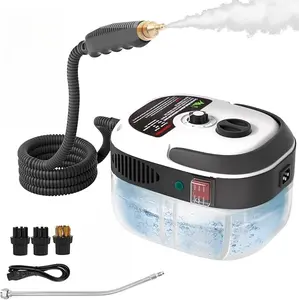 2500W Handheld Steam Cleaner for Auto Detailing,High Temperature Pressurized Steam with 1L Water Tank,with Brush Heads for Cleaning Kitchen