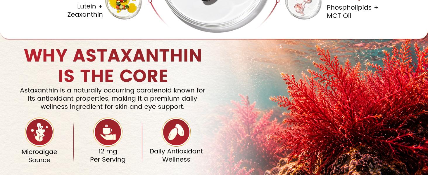 Liposomal Astaxanthin 12mg with Hyaluronic Acid & Lutein for Skin & Eye | 7-IN-1 Vegan Softgels with Vitamin E, Zeaxanthin, Phospholipids & MCT for Antioxidant, Skin Hydration, GMP, Gluten Free, 90ct