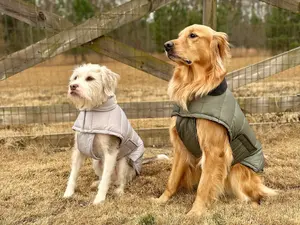 AGuyandAGolden Puffer Jackets