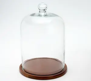Home Reflections 11" Glass Cloche with Wooden Base