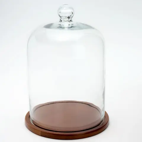 Home Reflections 11" Glass Cloche with Wooden Base