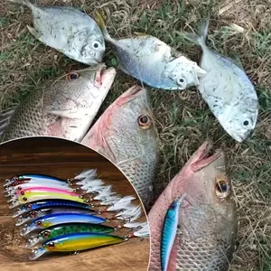 Fishing Lures Set 3D Bionic Minnow Fishing Lure with Artificial feather hook Laser Eyes Treble Hook Vibrant Artificial Crankbait Durable ABS Material Fishing Hooks