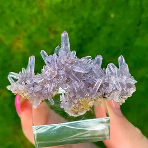 Amethyst Cluster | Guerrero, Mexico