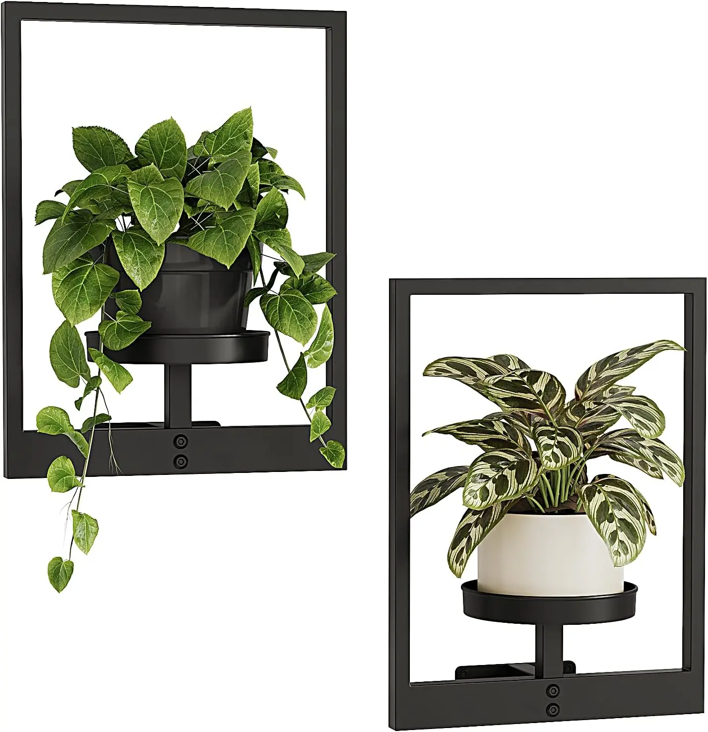 Bamworld Wall Plant Holder Plant Stand Indoor Wall Planters Black | Wall Planters for Indoor Plants Window Plant Shelves Plant Holder Wall Decor, Room Decor 2 Pack (Patent Design)