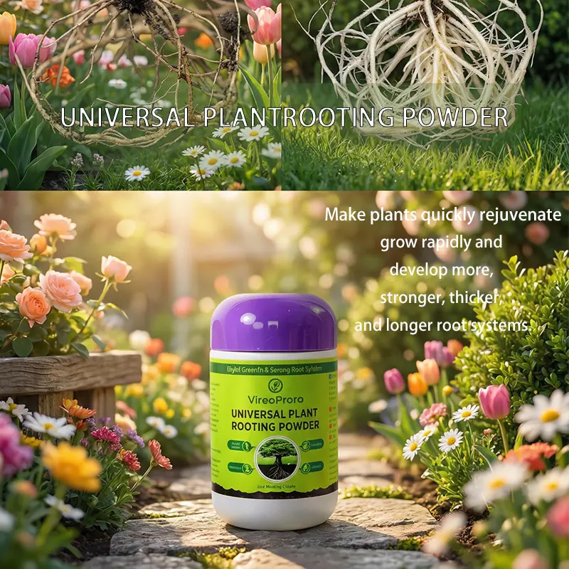E08 / Rooting Powder | Gentle Support for Plant Cuttings & Seedlings, Essential Home Gardening Supplies