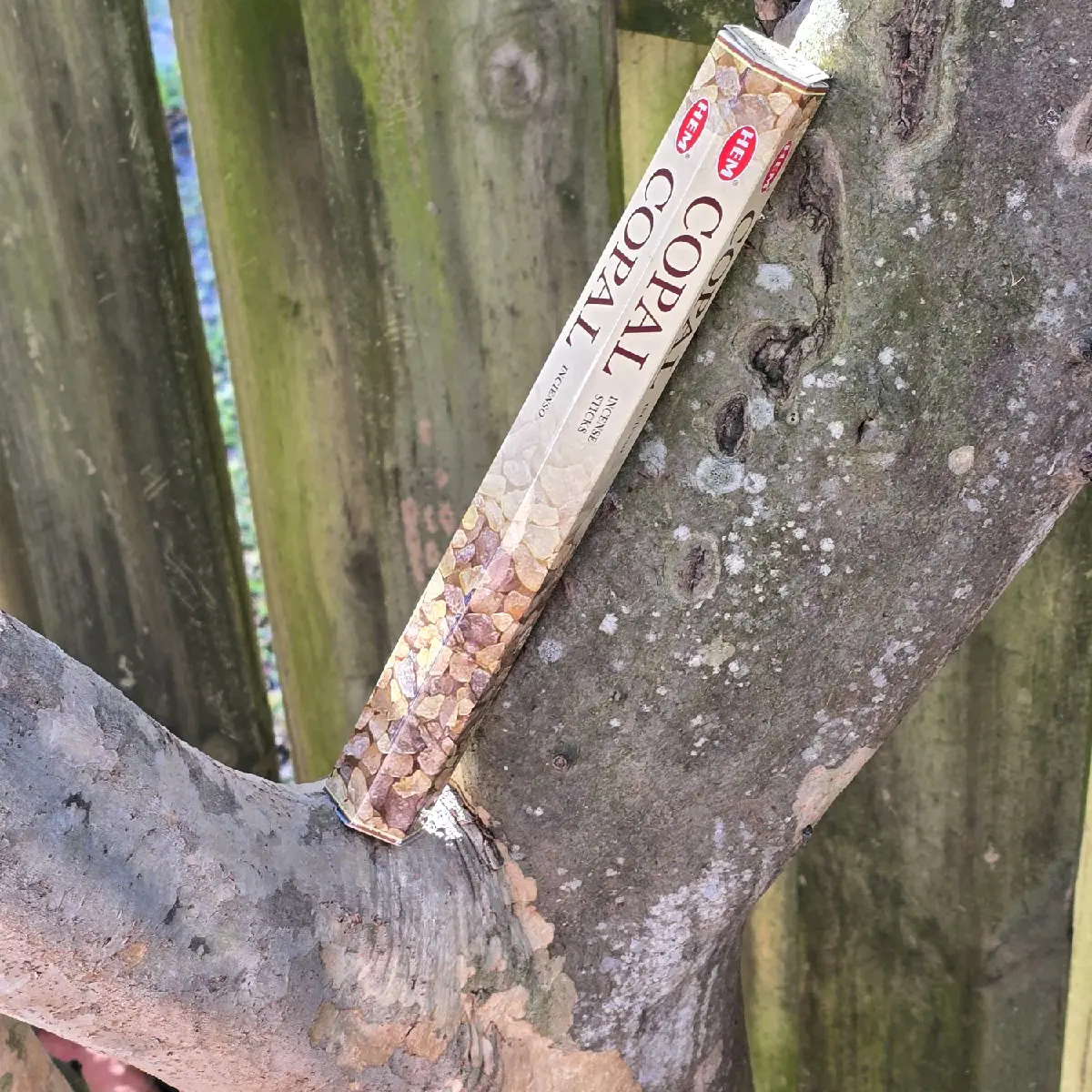 Copal Incense