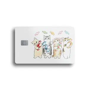 Cats and Candy Card Skin