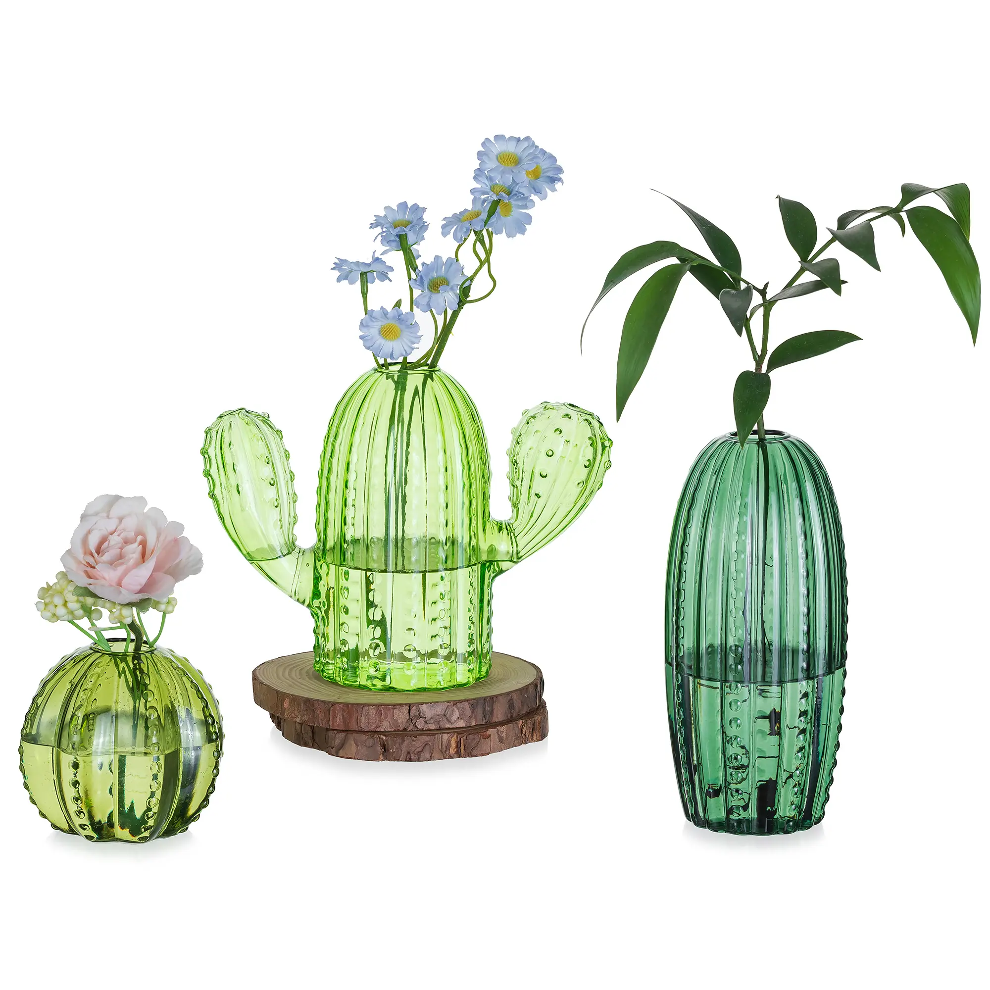 Glasseam 3-Piece Cactus Glass Plant Propagation Stations - Hydroponic Vases with Stable Base for Air Plant Cuttings, Tall Round Classic Home Ornaments, Home Decoration Supplies