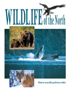 USED-Wildlife of the North by Steve Kazlowski (Paperback)