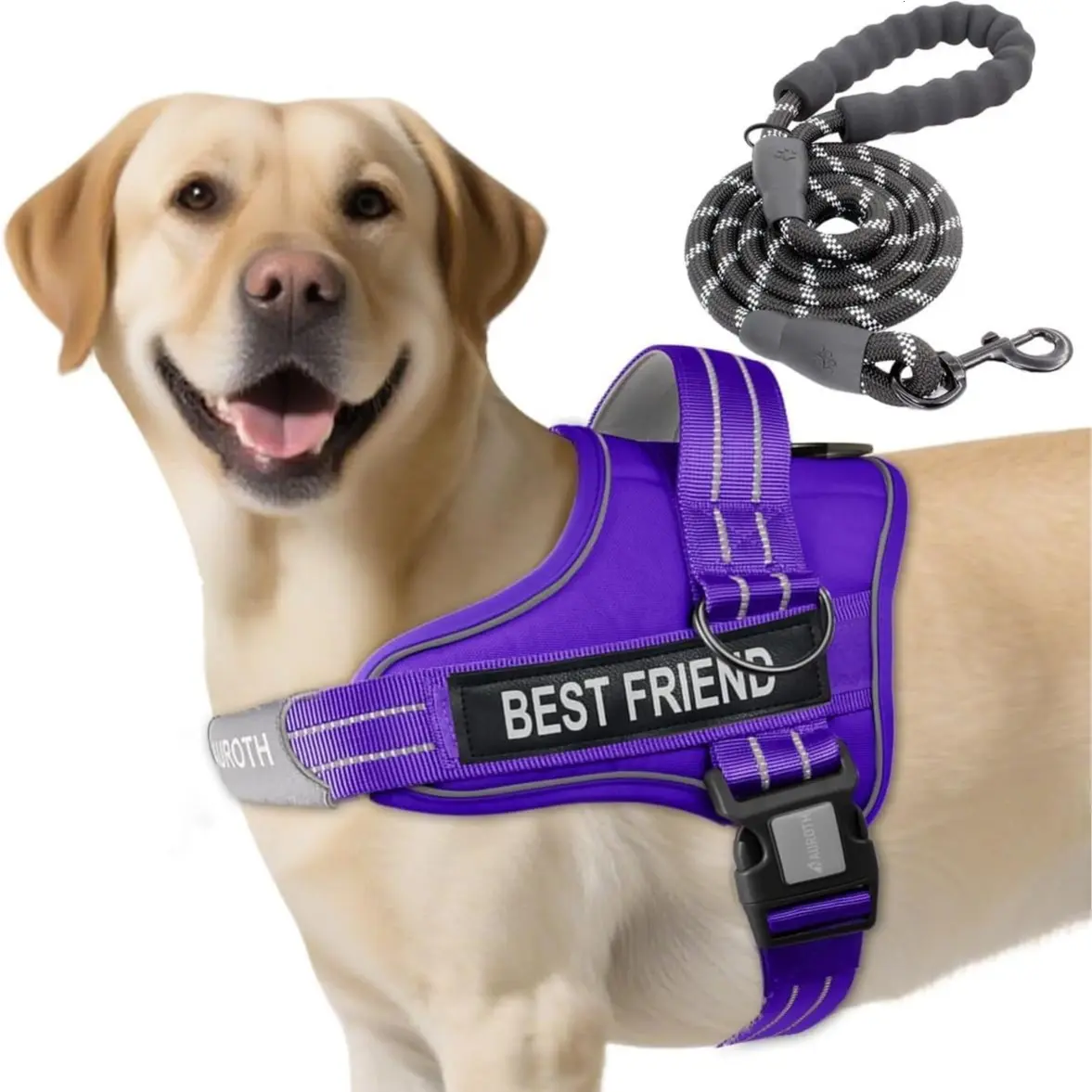 Leash Set-Purple