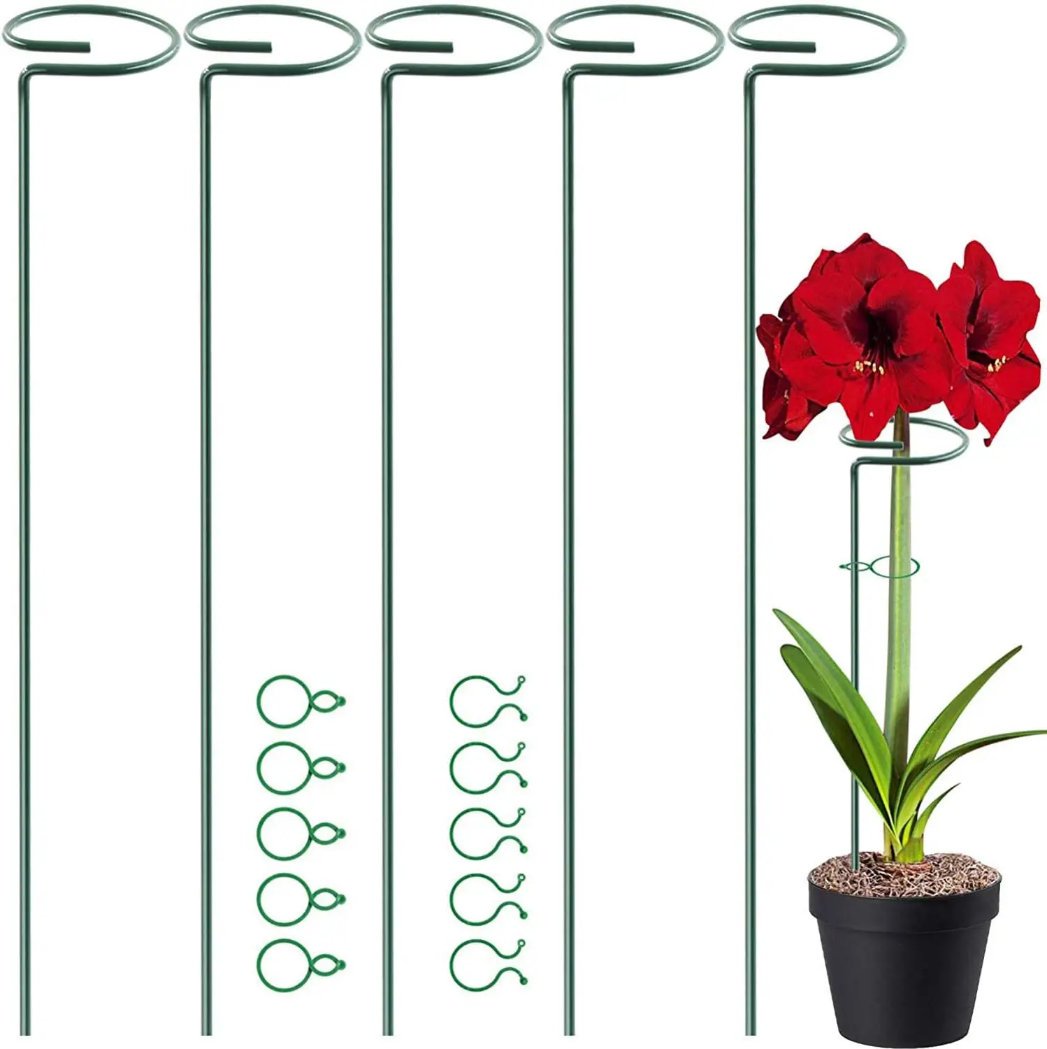 5 Pack 17 inch  Support Stakes, 4mm Thick Garden Single Stem Flower Support Stake Amaryllis  Cage Support Rings with 10 count  Clips for Tomato Orchid Lily Peony Rose Flower Stem