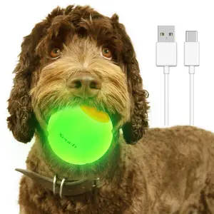 XEUCH - LED Dog Ball Rechargeable, Light Up Dog Ball Toys, Bounce-Activated Durable Fetch Ball, Natural Rubber, Unique Scent, 2.5 inches, for Dogs