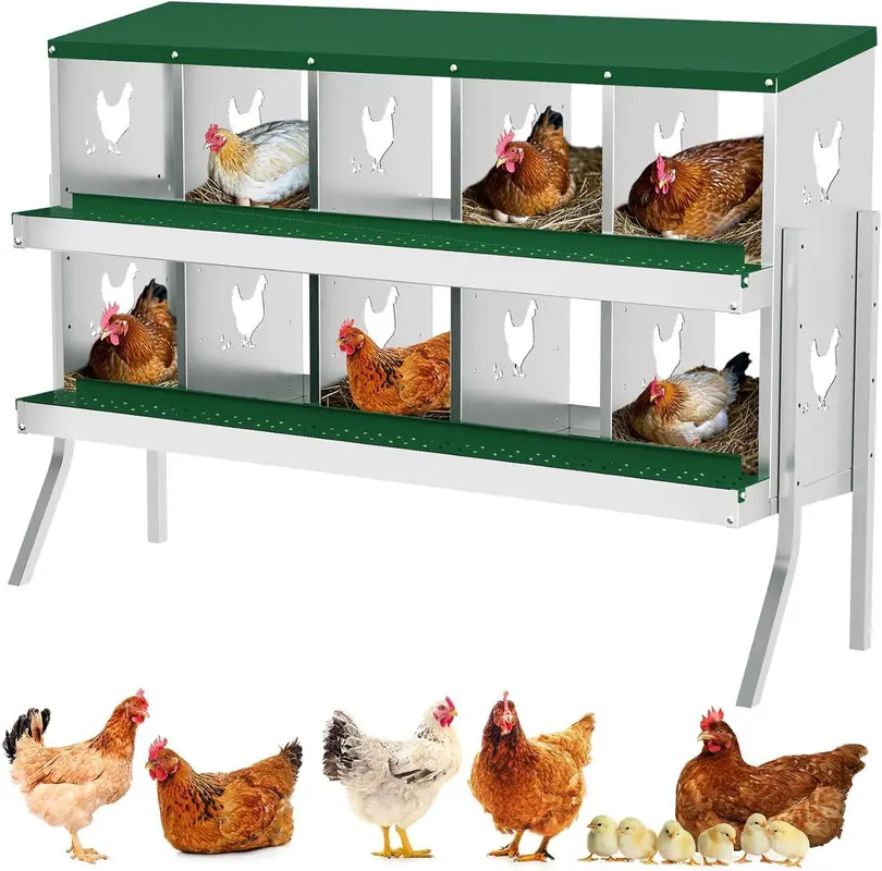 【Christmas Gift】10 Holes with Legs（Green) Metal Chicken Nesting Boxes, Chicken Egg Laying Box , Large Vented Holes Chicken Coop with Rollout Egg Collection, Wall Mount Coops for Chickens, Hens