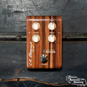 L.R. Baggs Align Reverb