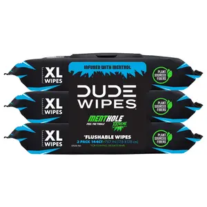 DUDE paper Wipes Flushable Wipes, XL Wet Wipes for at Home Use, MentHOLE XXtreme, 144 Count