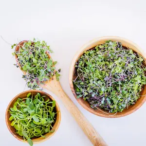 The Restore Together Challenge — 30-Day Gut Health Reset Kit