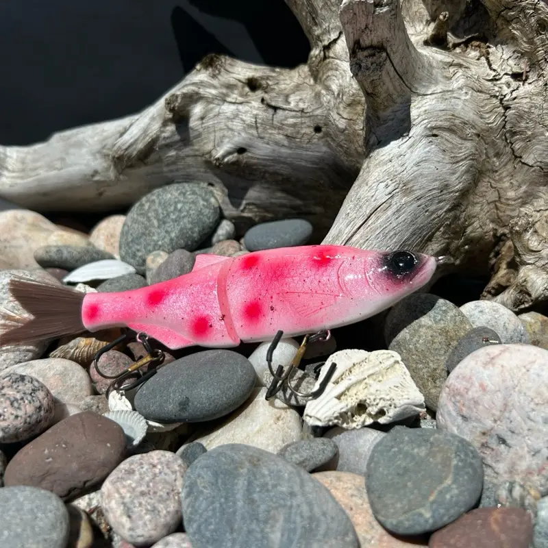 6 inch custom hand painted Shad glidebait 6 inch custom hand painted Shad glidebait