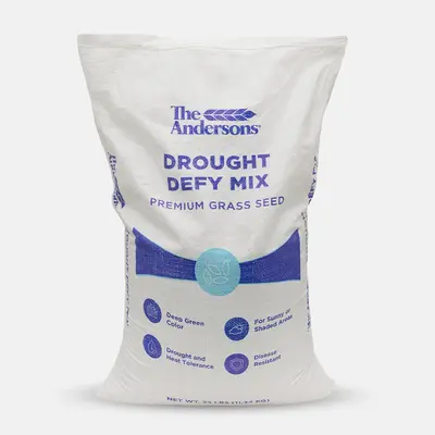 Lowes Best Grass Seeds - TikTok Shop