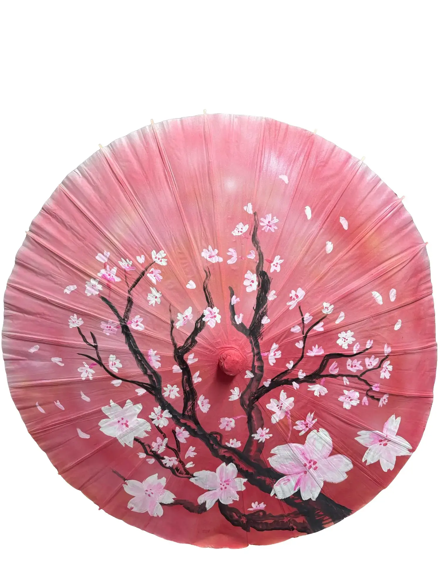 Painted Sun Umbrella with Cherry Blossom Design on Pink Background
