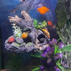 Aquarium Decor  Driftwood Outcropping Ornament -Wall-Mounted Fish  Accessory