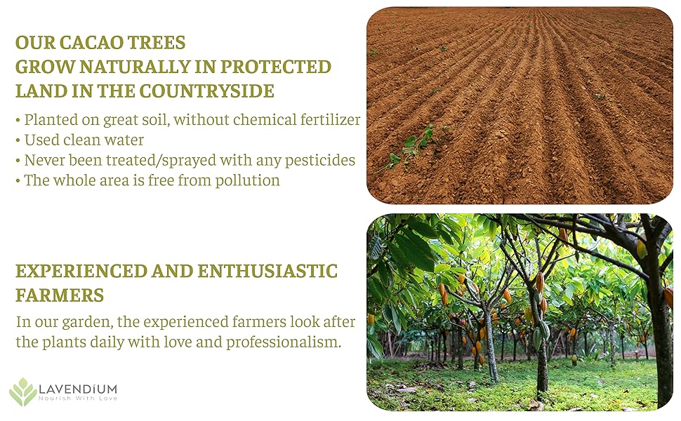 【FreshDrinkUS】 25oz (1.56 lbs) Cacao Powder, 100% Natural & Pure Cacao Powder, Unsweetened Cacao Powder, Rich Chocolate Flavor, Perfect for Baking & Smoothies, Non-GMO, Gluten-Free, Chocolate Beverage