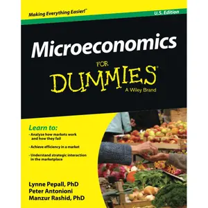 Microeconomics For Dummies Paperback – February 1, 2016