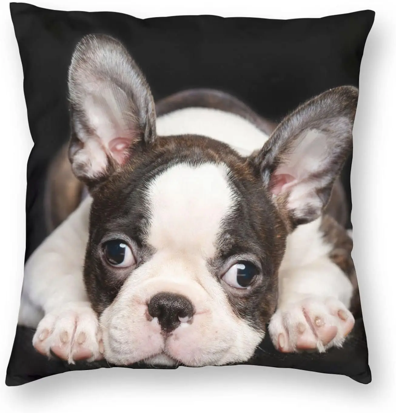 Durable 2-Piece Boston Terrier Puppy Decorative Throw Pillow Cover Set, 18x18in Dog Cushion Cases with Hidden Zip Fast, Machine Washable for Sofa, Bedroom House Decor, Room Decor
