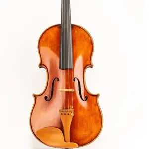 D Z Strad Violin - Model 300 - Light Antique Finish with Dominant Strings